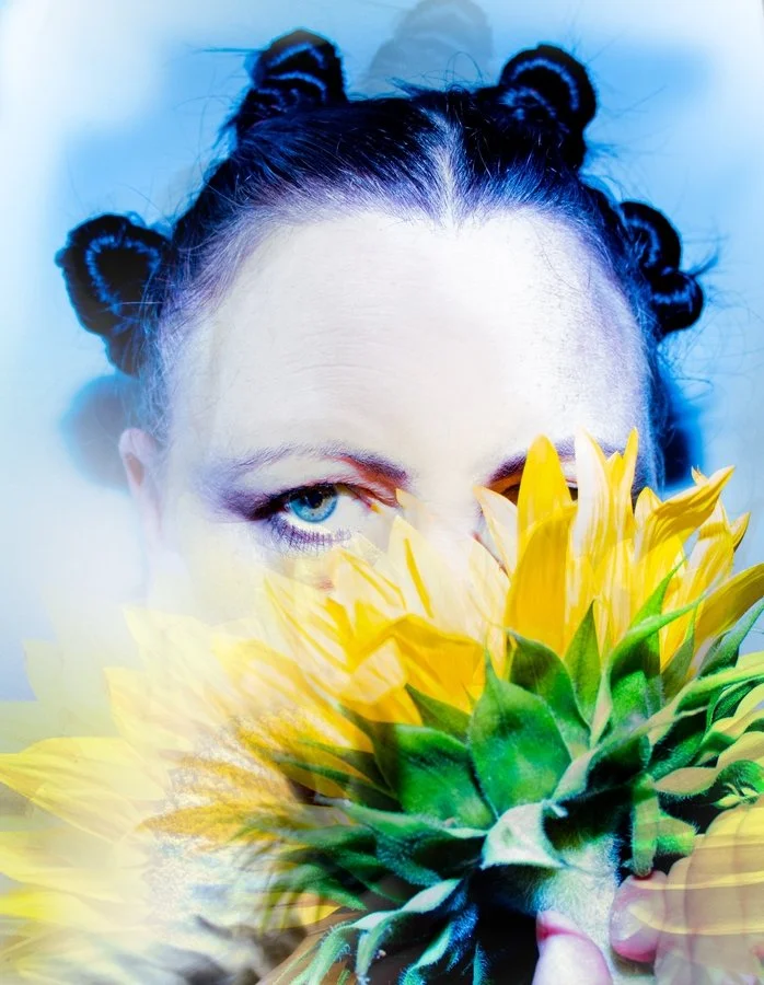 Sunflower light | Kerryn Whitehead