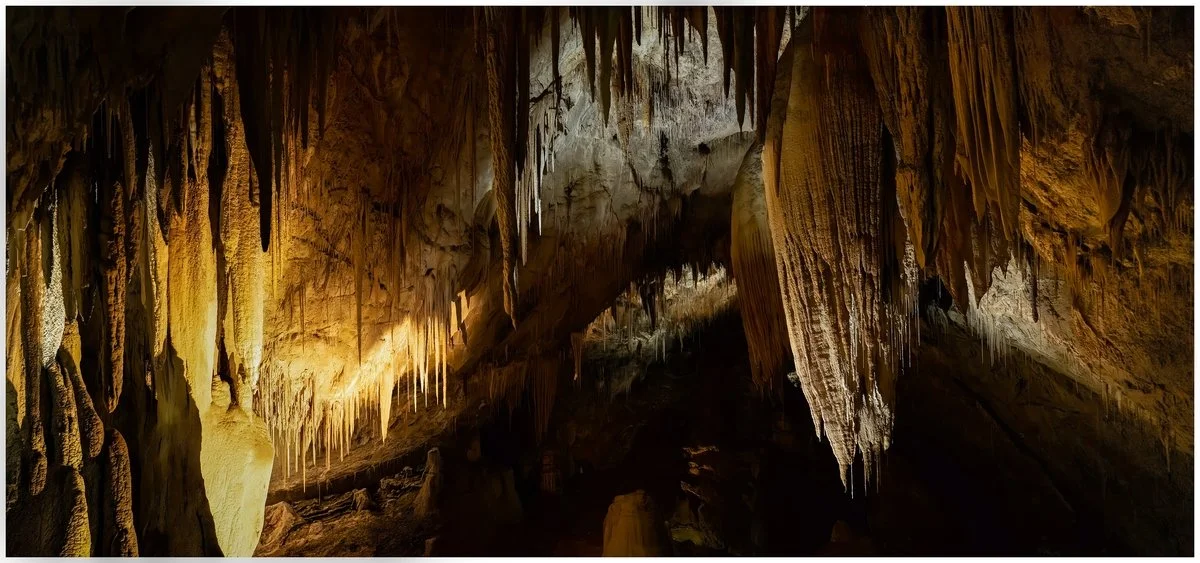Caves | Wayne Rickard