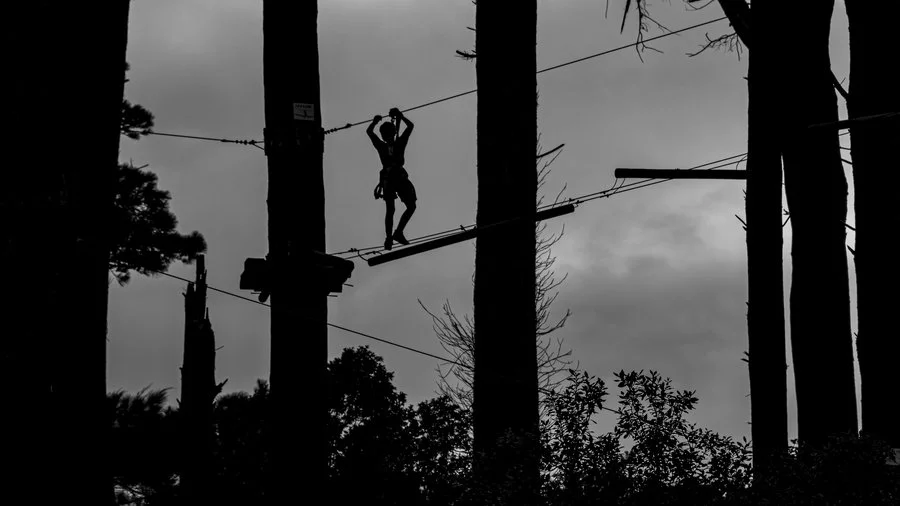 Adrenalin Forest high wire | Sharon Kenyon