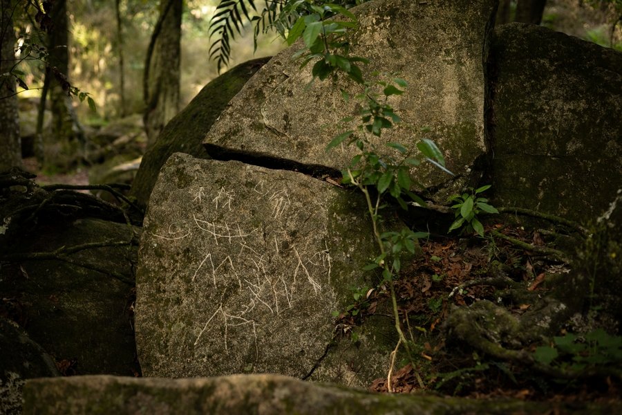 Modern petroglyphs | Racheal Young