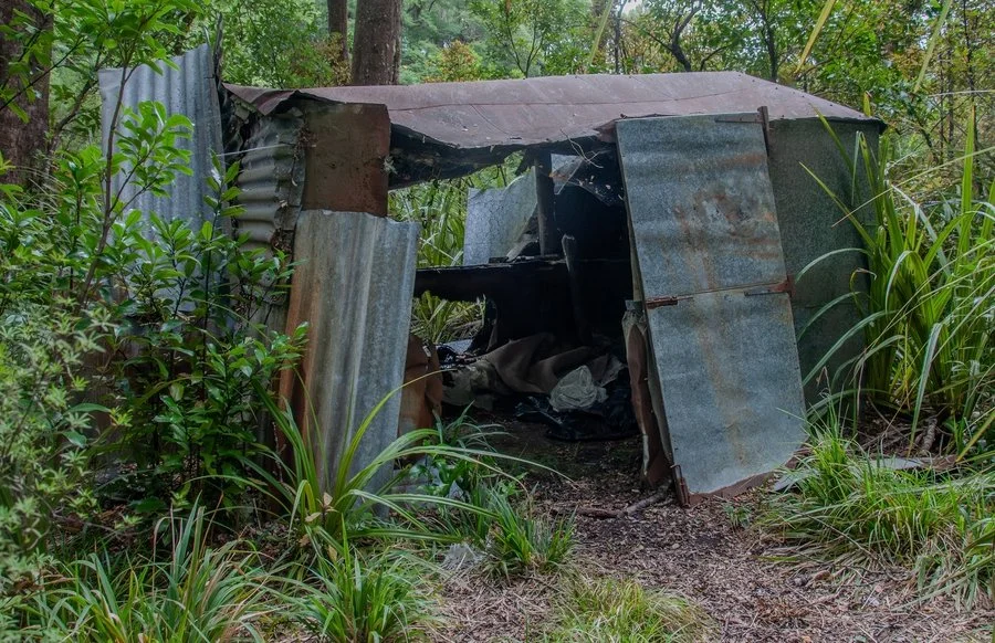 Black Stag hut still standing - Old New Zealand Forest Service Hut | Monika Coles