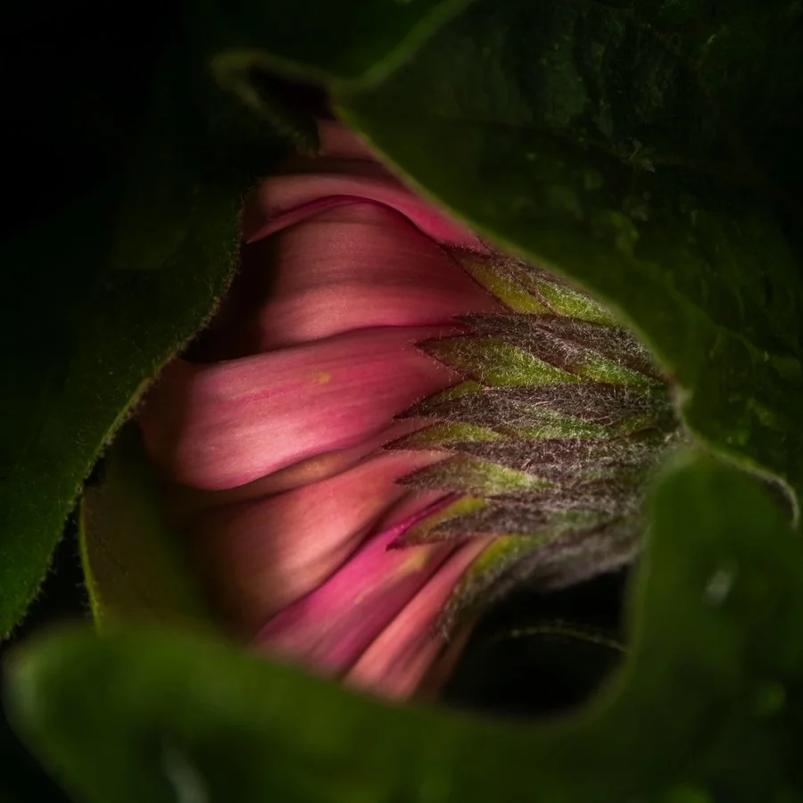 I am shy | Prashant Joshi