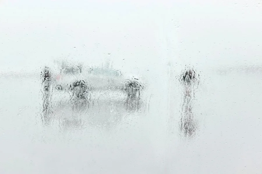 Commitment to the cause | Racheal Young