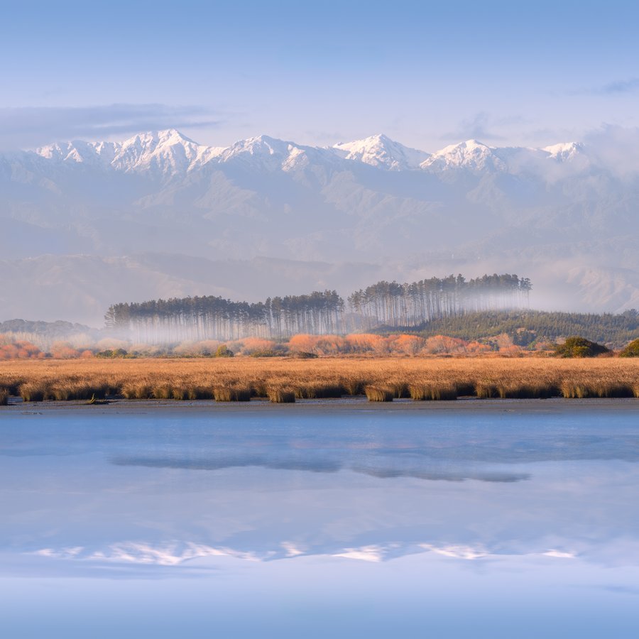 First hint of spring | Mike Gannaway