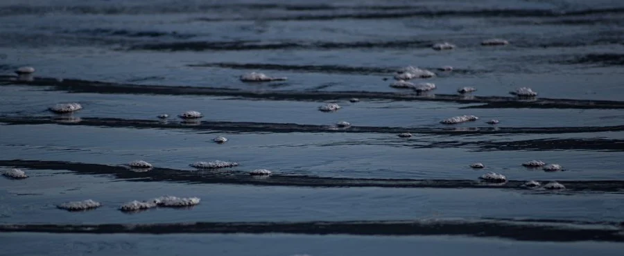 Water ripples | Kellie Vincent