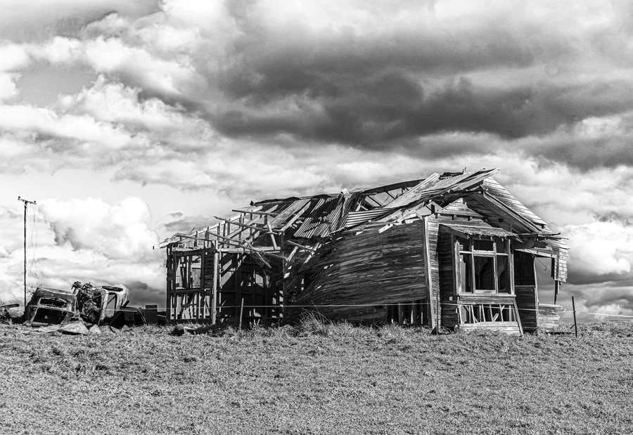 Here today, gone tomorrow | Rowan Bell