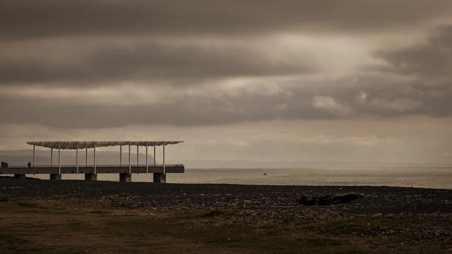 Man-altered landscape | Sharon Kenyon