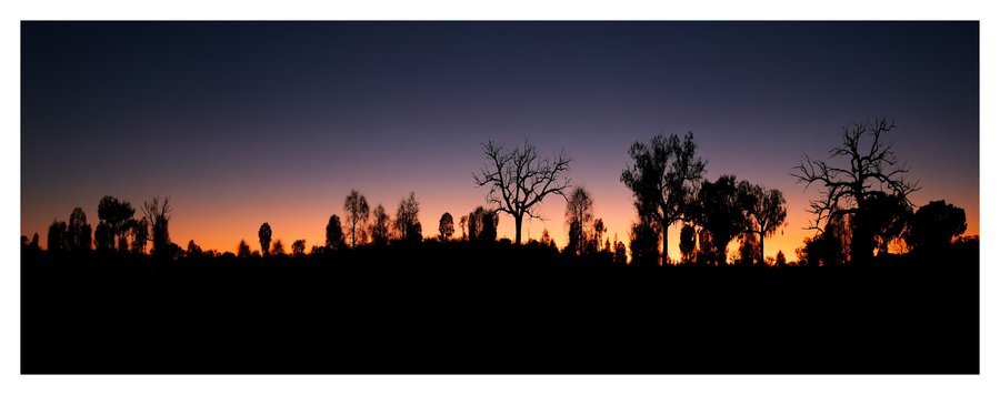 Sunrise | Wayne Rickard