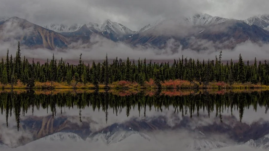 Alaskan autumn | Malcolm Pinfold