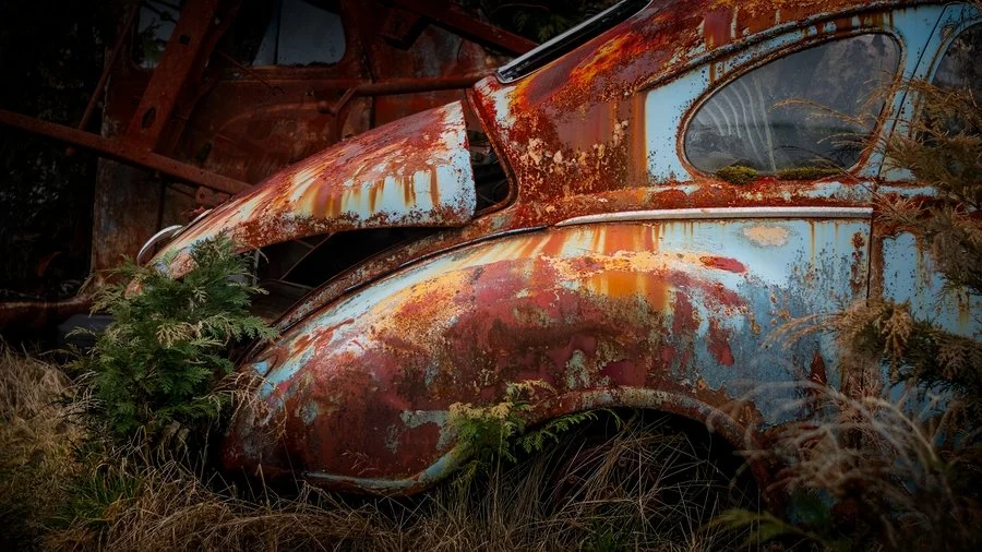 Reclaimed | Mike Gannaway