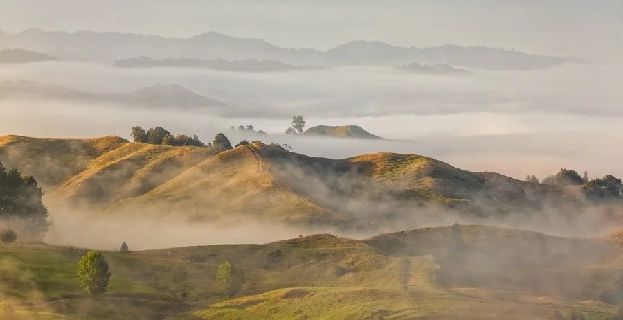 Breath of dawn, Waitomo district | Anna Bootle