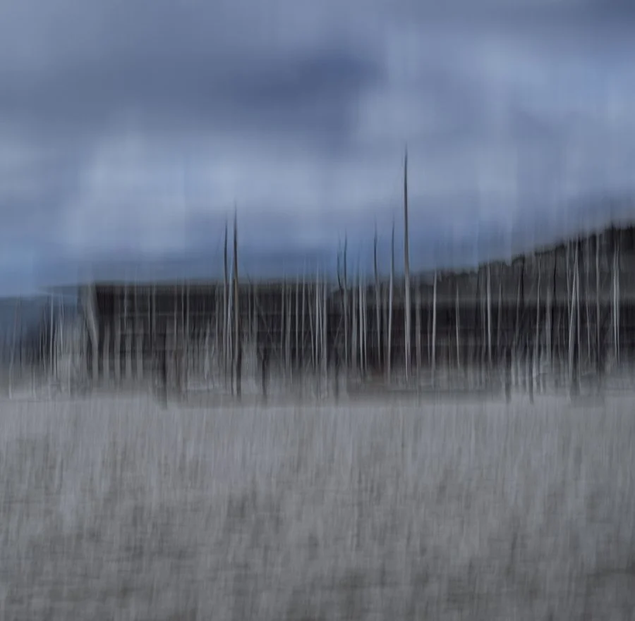 Stillness in motion | Micaela McIntosh