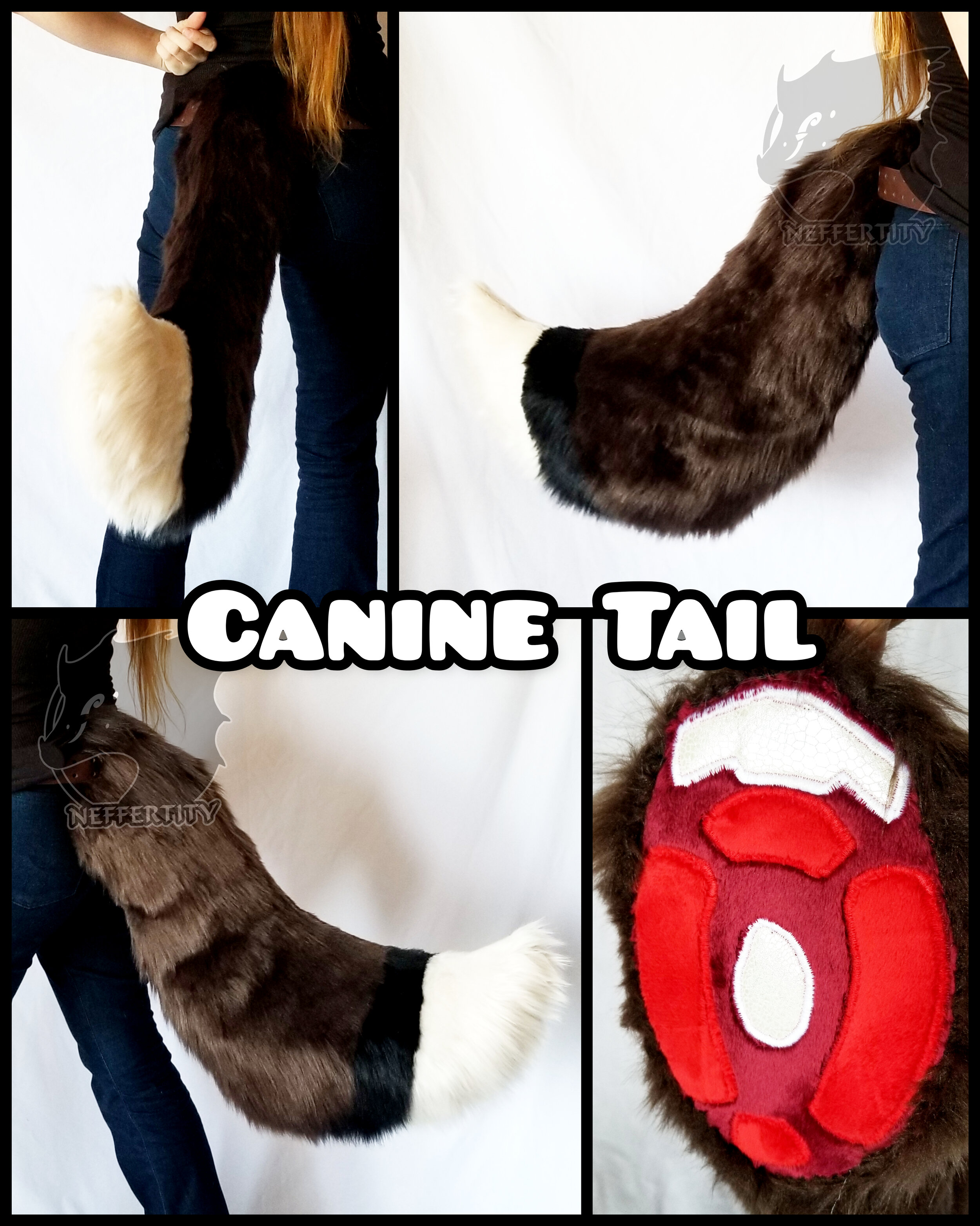 Canine Tail.jpg