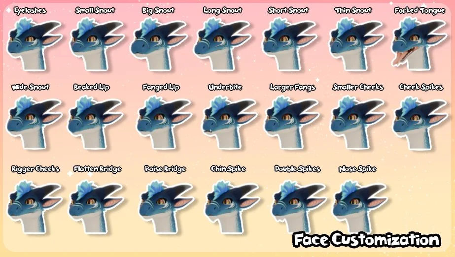 FaceCustomization.jpg