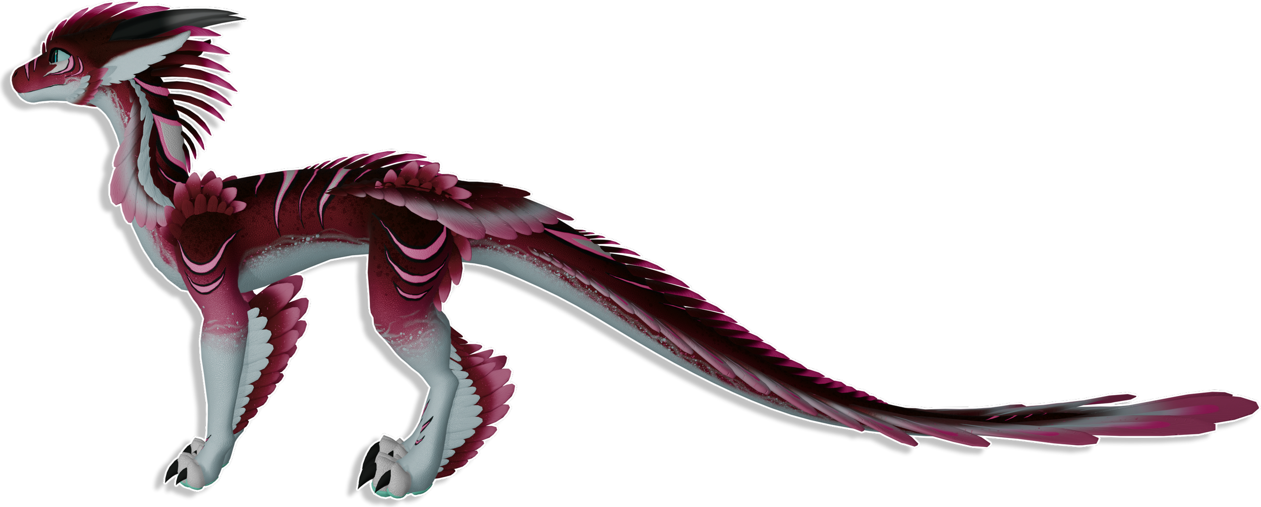 04Feathers2.png