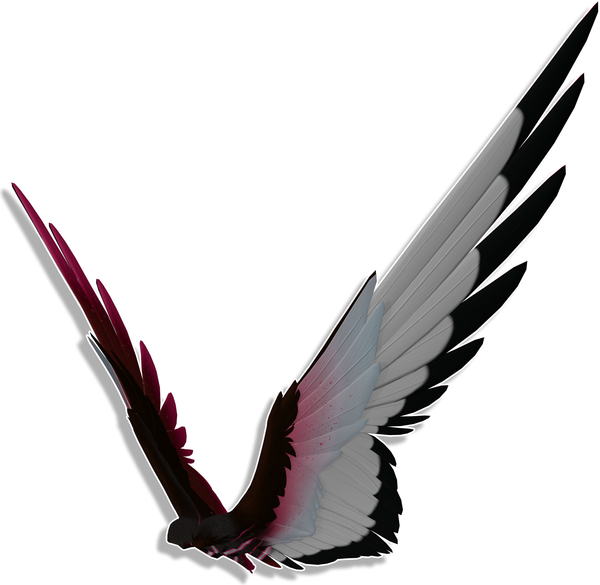 04Feathers6.png