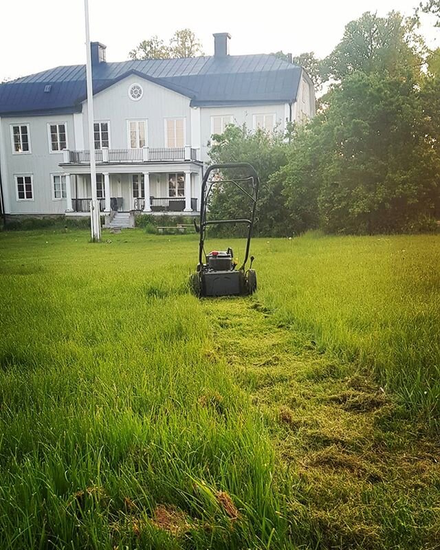 GR&Auml;SKLIPPARSP&Aring;R...Det v&auml;xer kraftfullt p&aring; Torslunda. Underbara varma soliga dagar, gr&ouml;nska och ljusa n&auml;tter.

www.tracker.one

#stressfri #indianer #filosofi #sp&aring;rmedveten #ledarskap #snutk&auml;nsla #observation