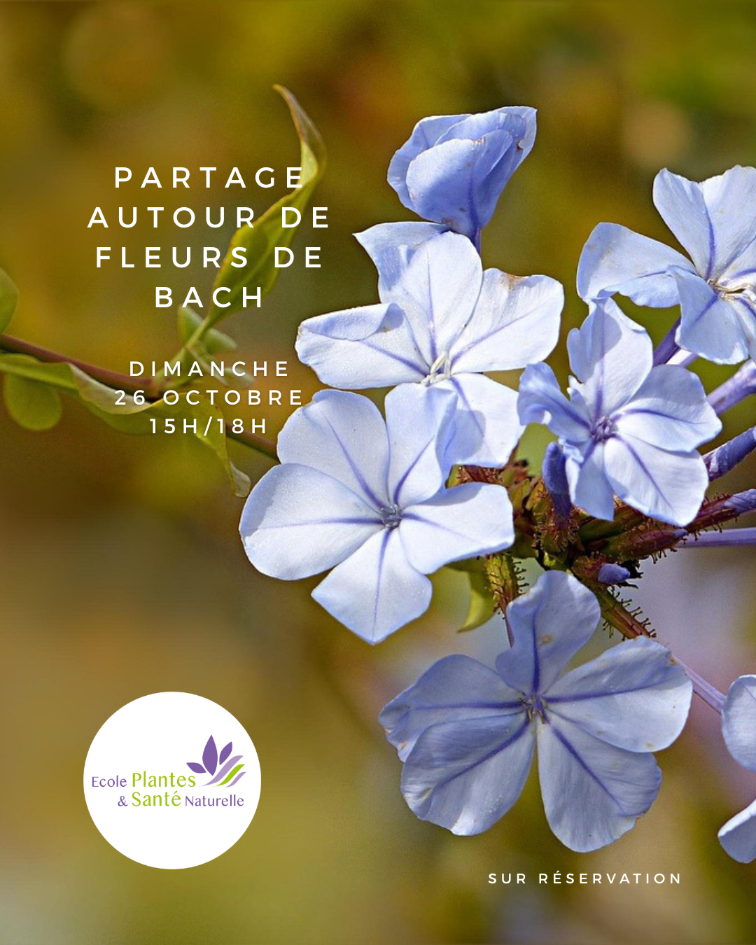 Partage Autour de Fleurs de Bach