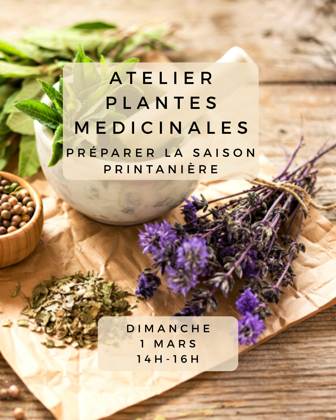 Atelier plantes médicinales: Préparer la saison printanière