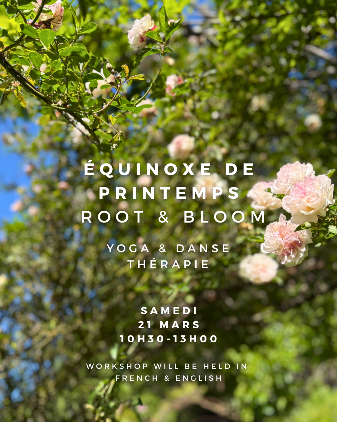 ÉQUINOXE DE PRINTEMPS  - Yoga & Danse Thérapie