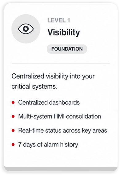 CORTEX Lite Level 1 Visibility