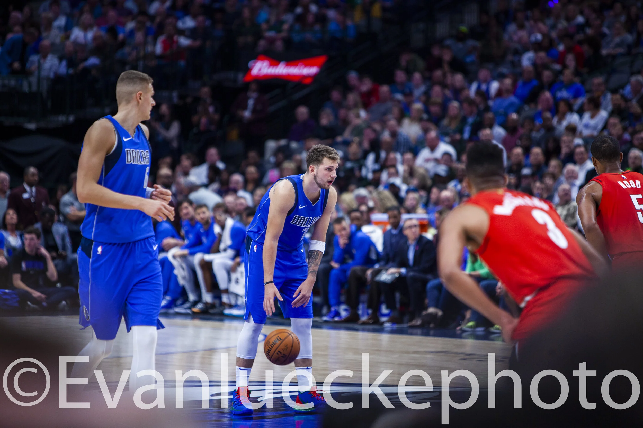basketball 40595.jpg