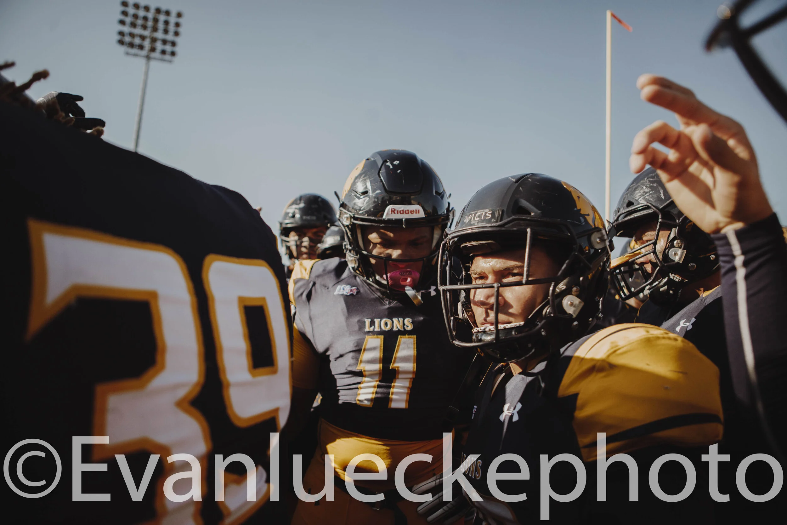 football 59243.jpg