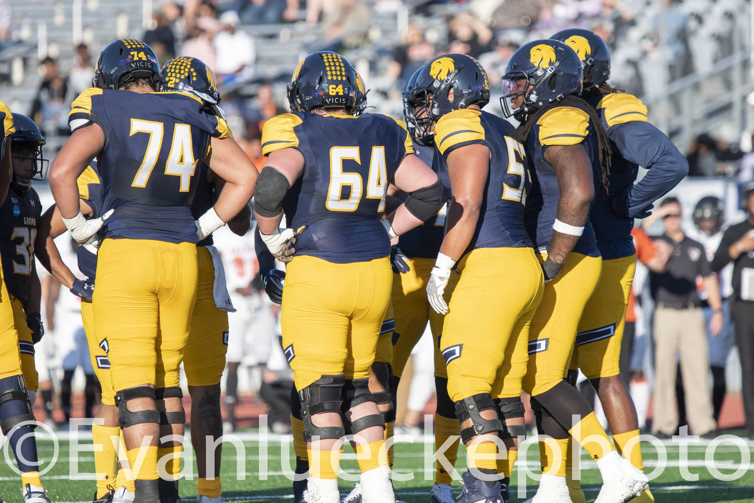 football 60393.jpg
