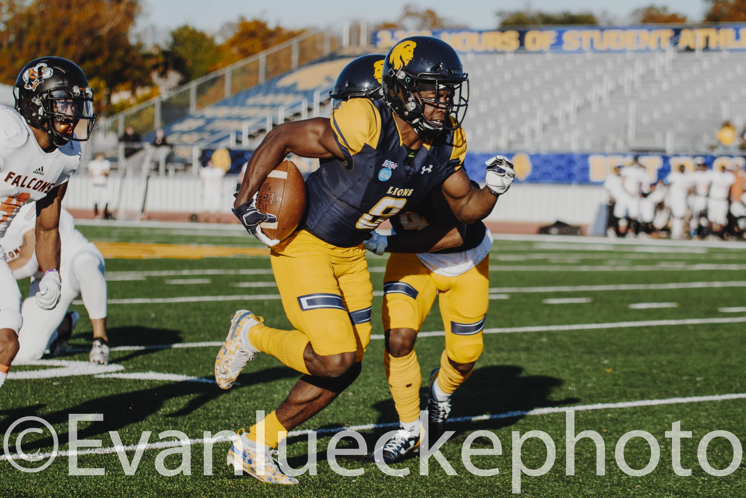 football 60433.jpg
