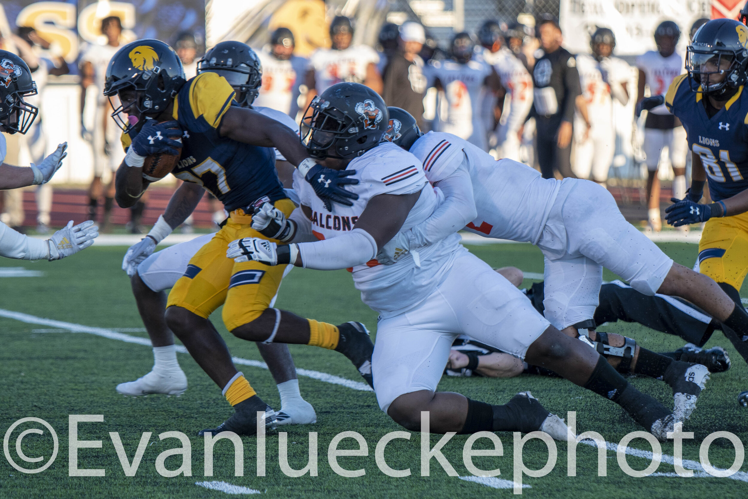 football 61081.jpg