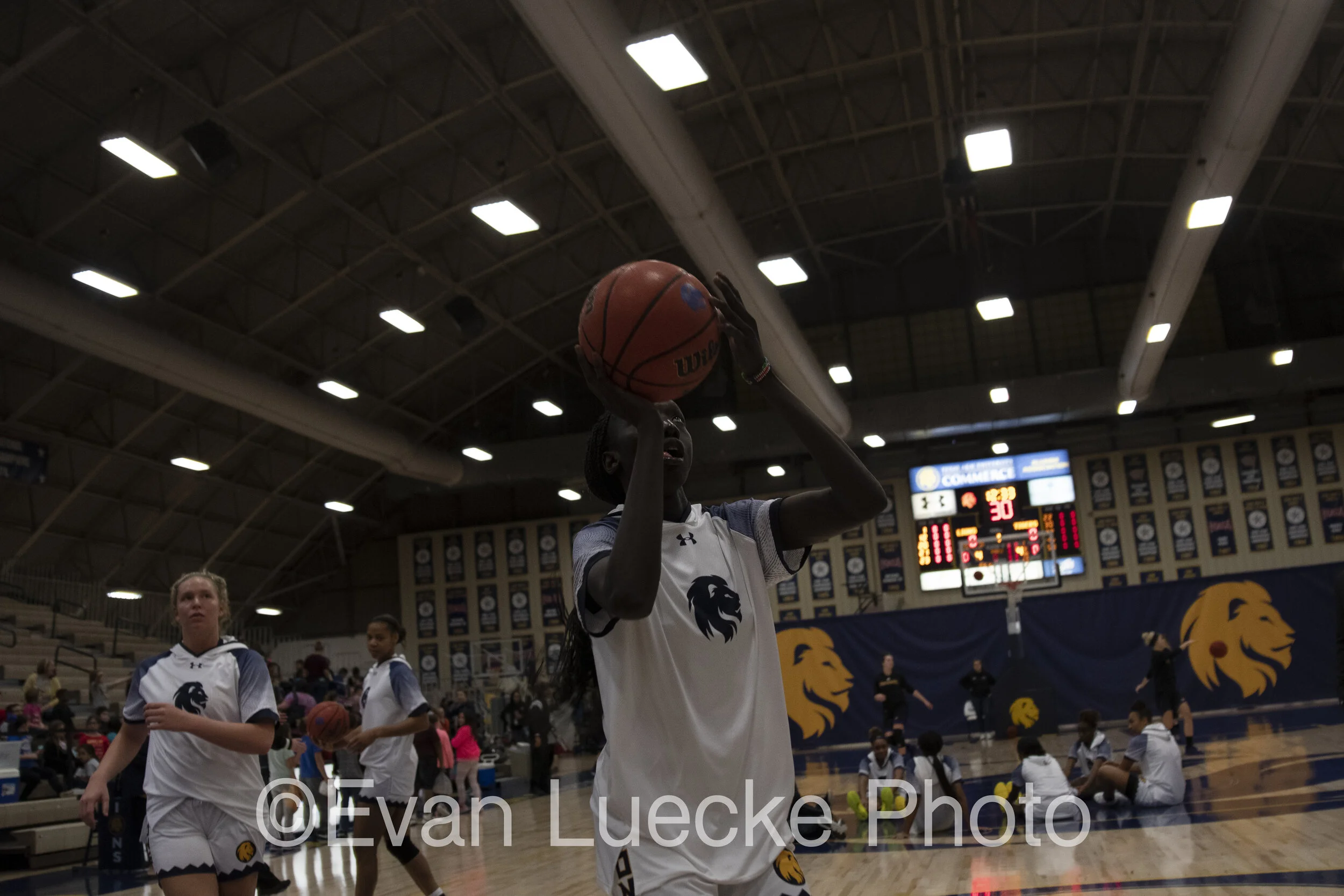 Wbb71141.jpg