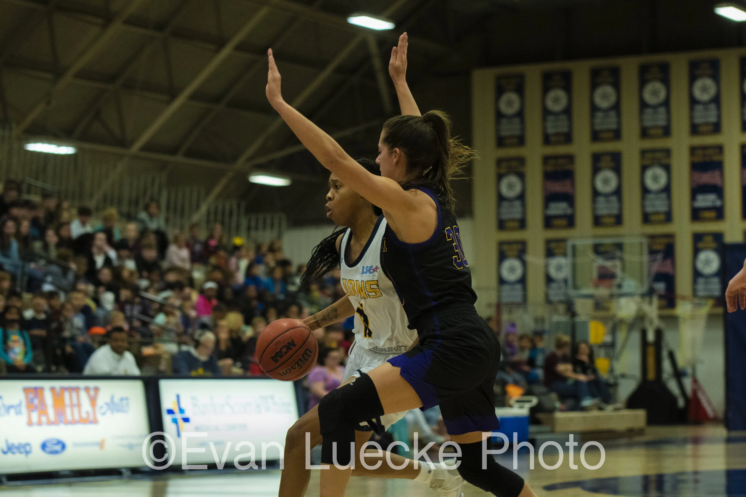 Wbb71284.jpg