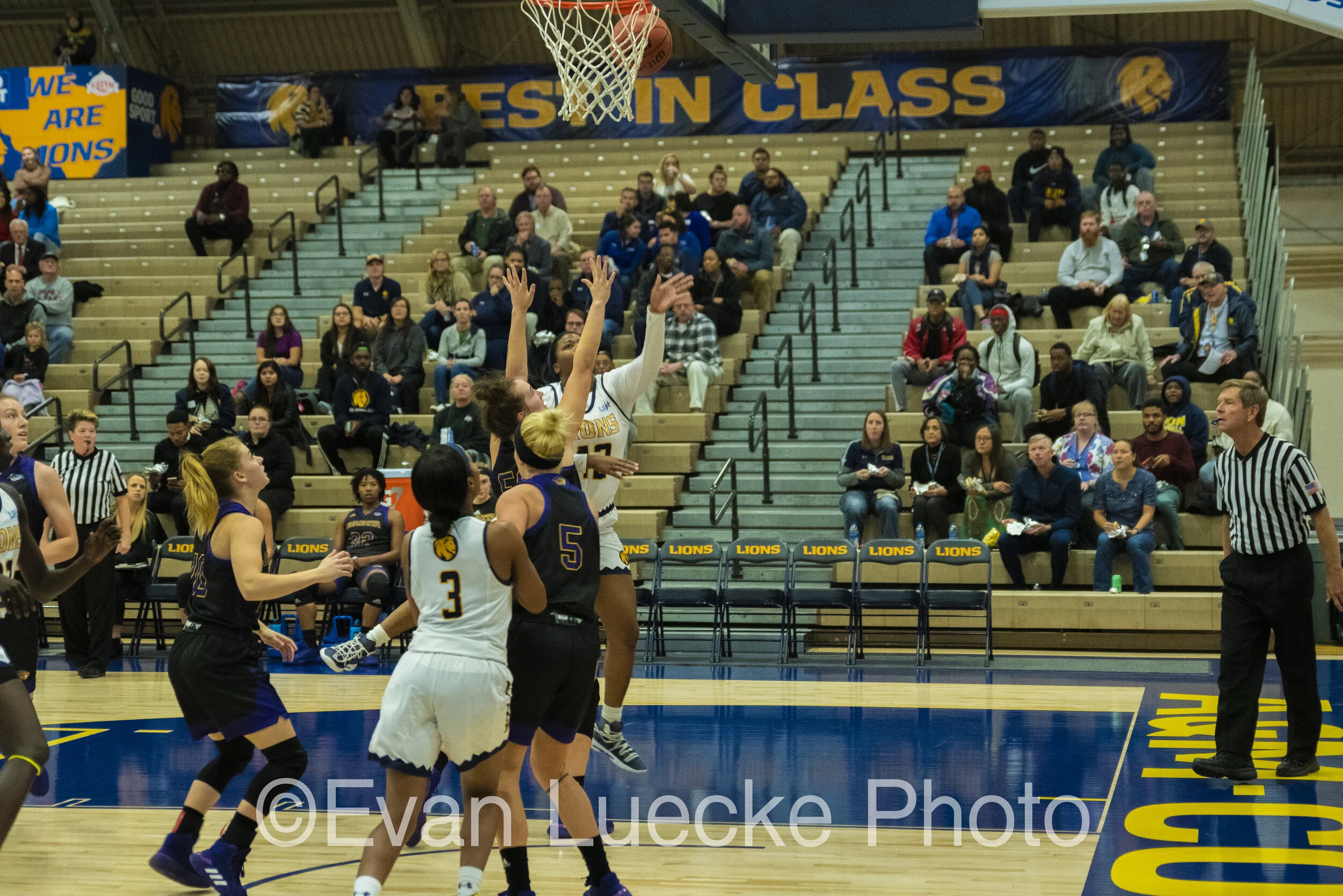 Wbb71305.jpg