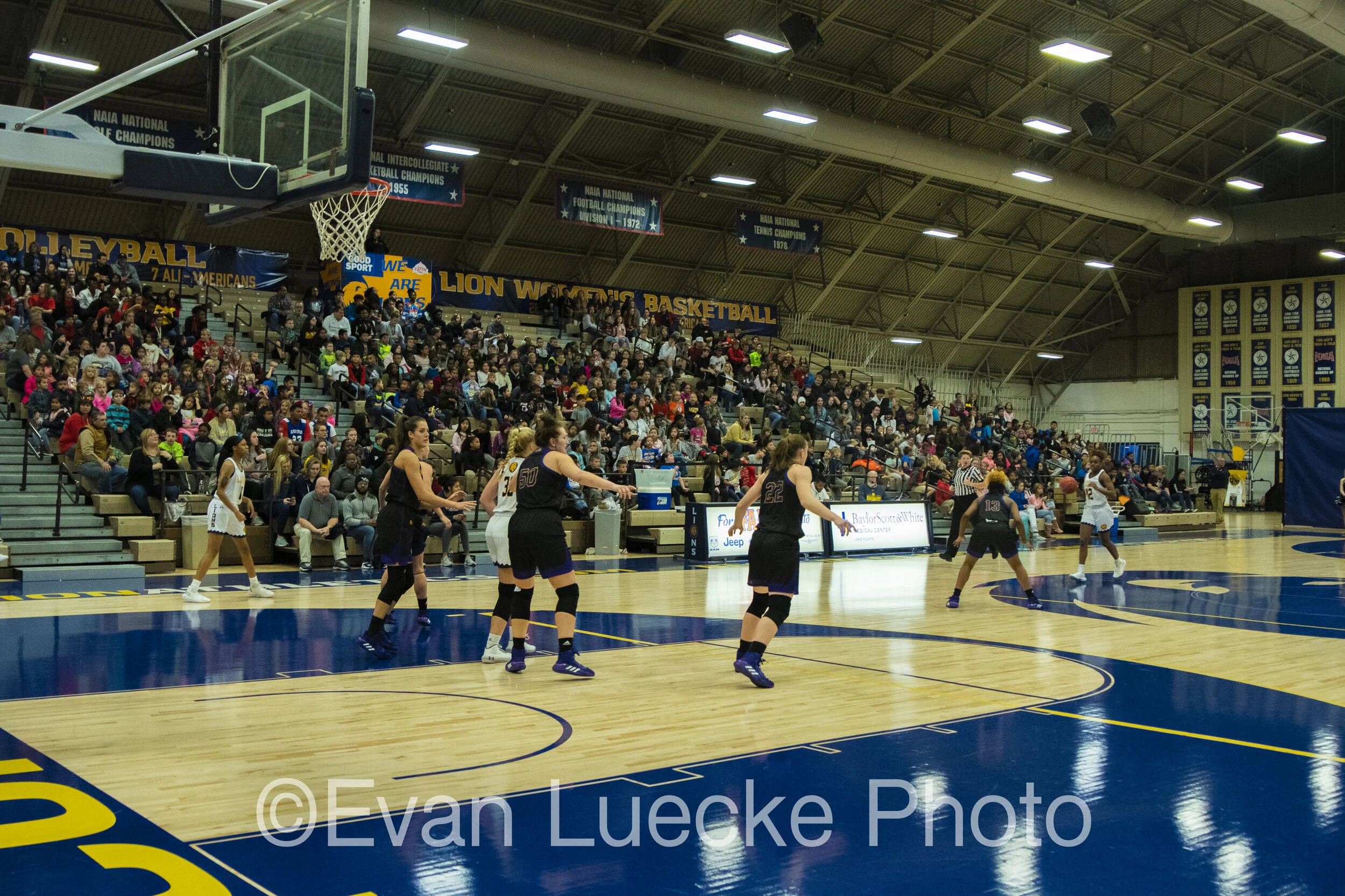 Wbb71343.jpg