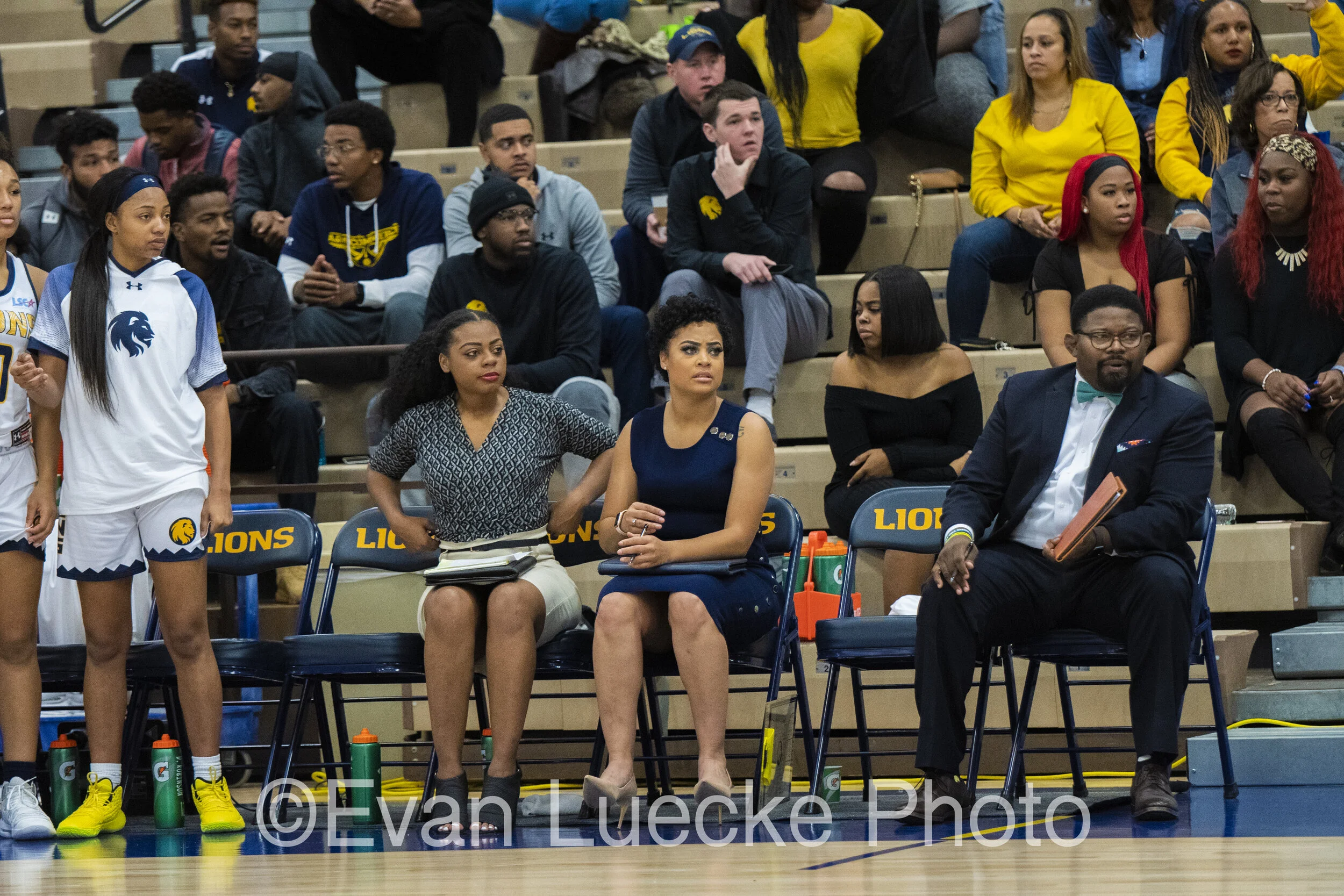 Wbb71460.jpg