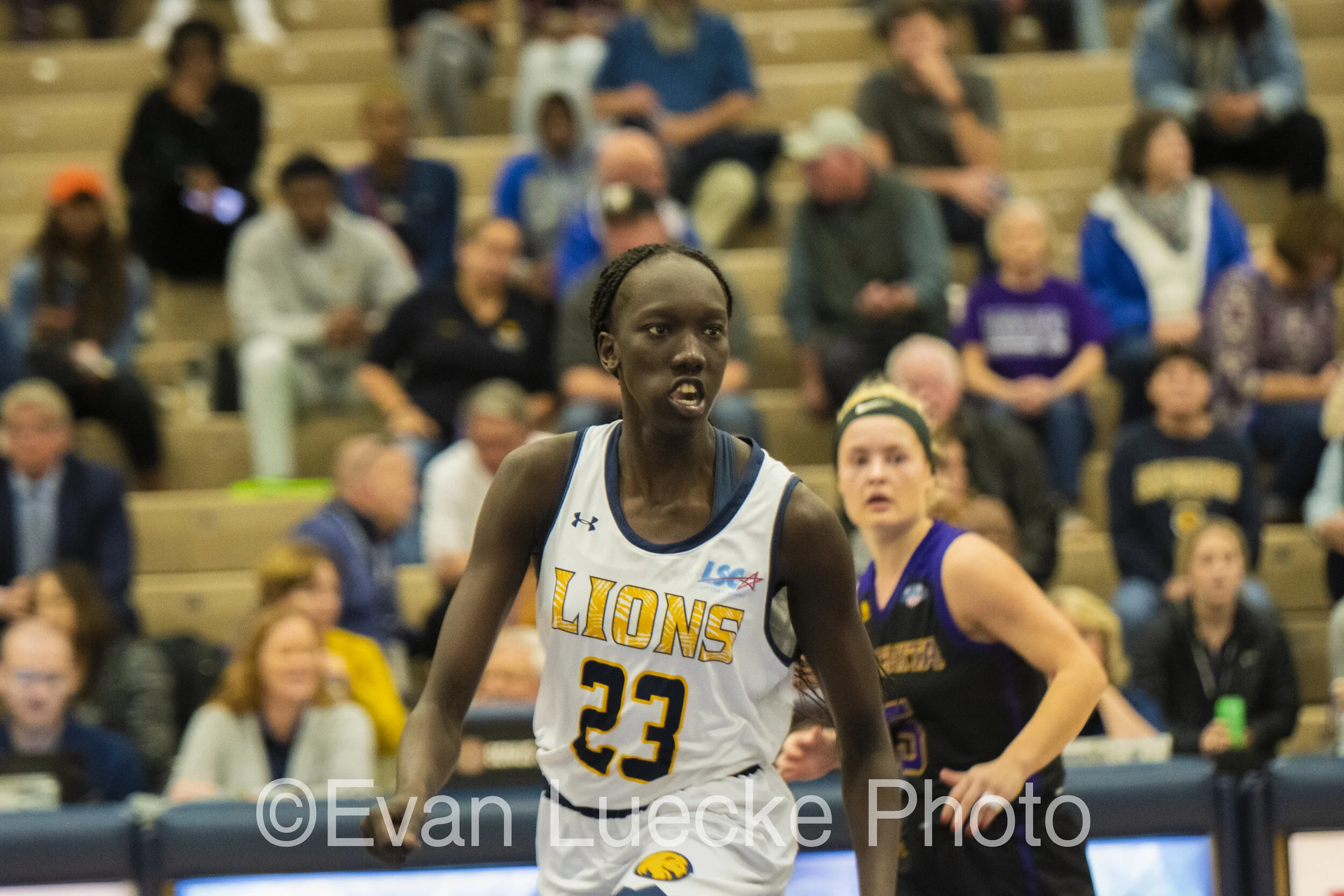 Wbb71468.jpg