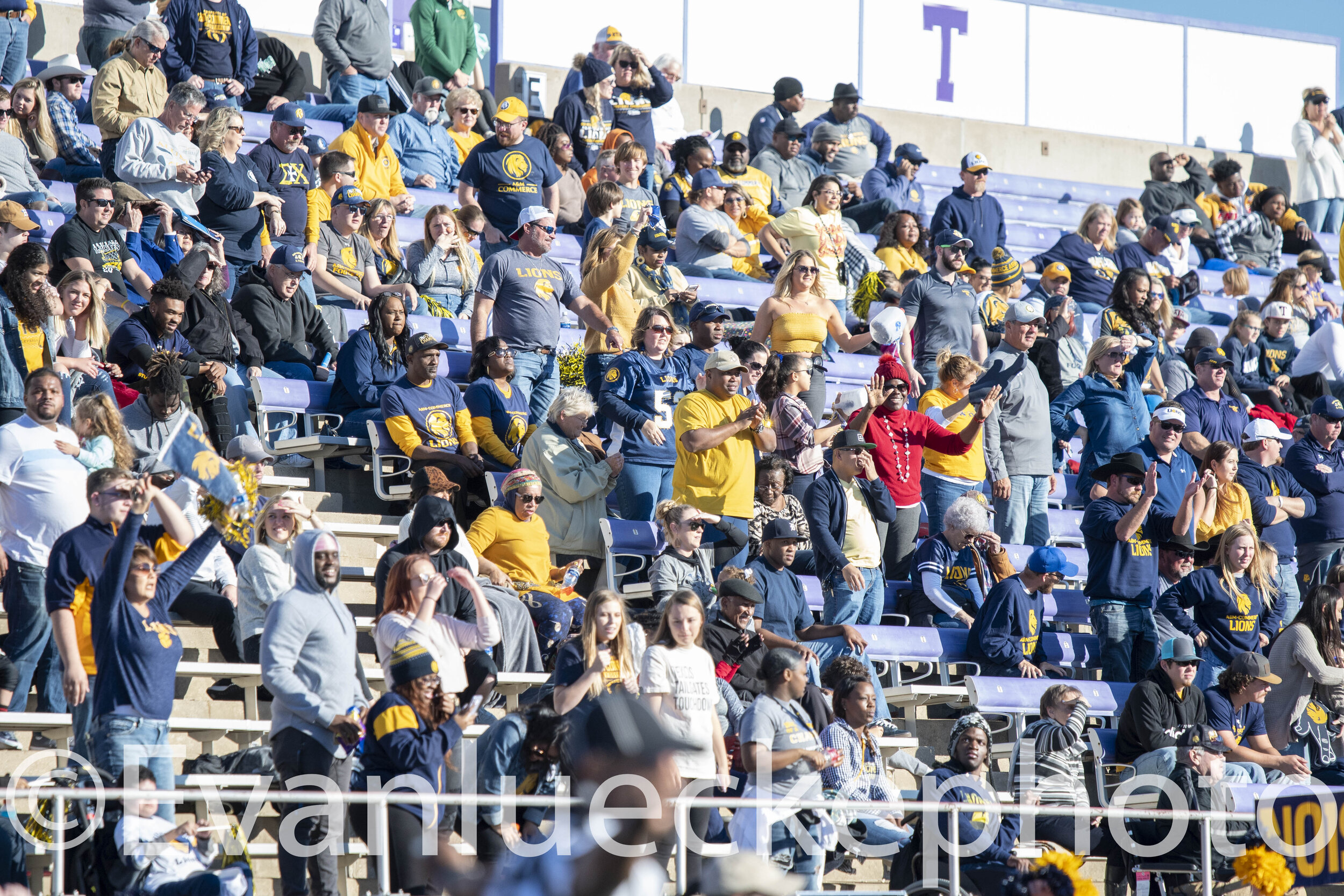tamucvsTSU93096.jpg
