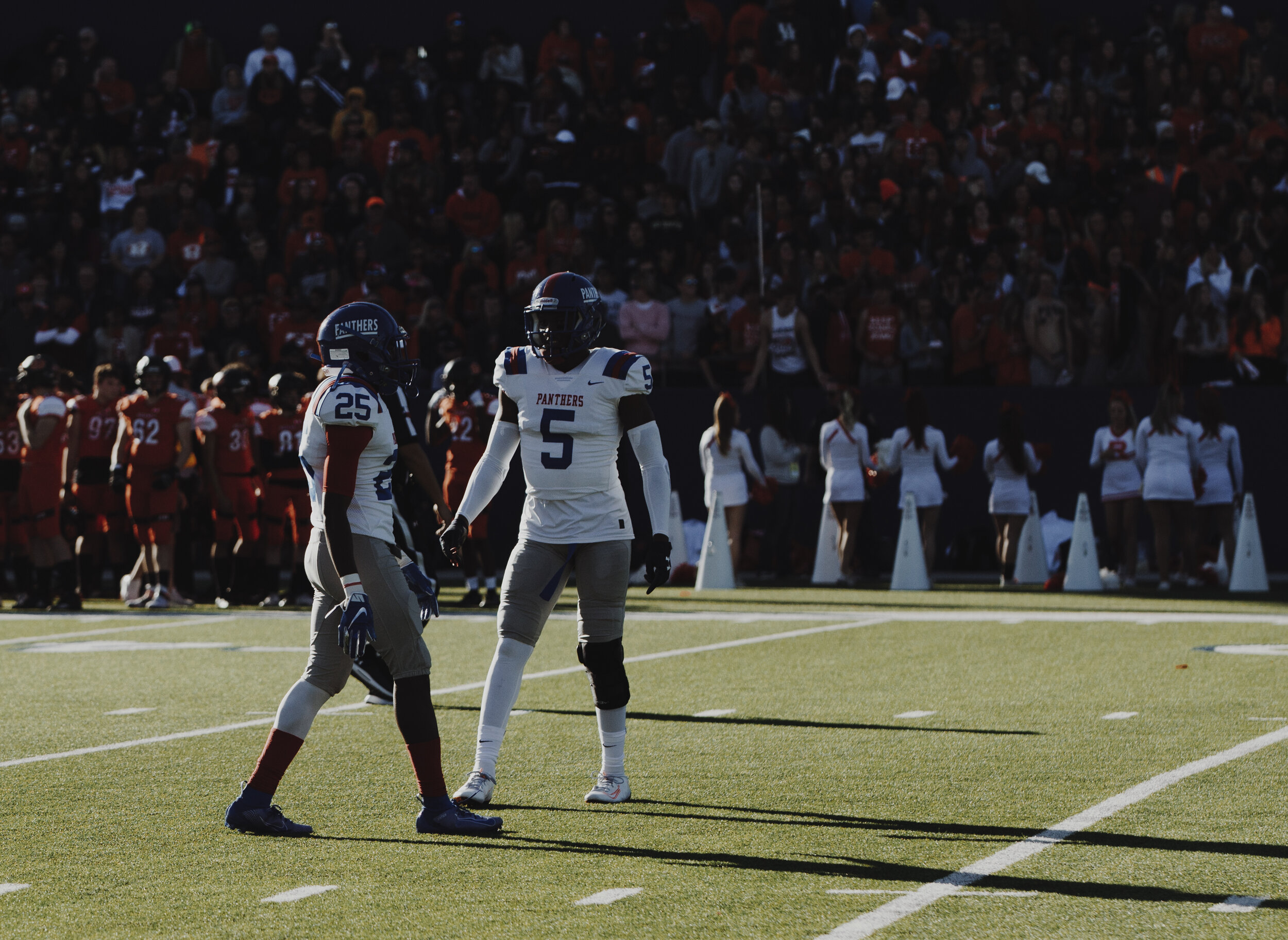 DHSvRHS018953.jpg