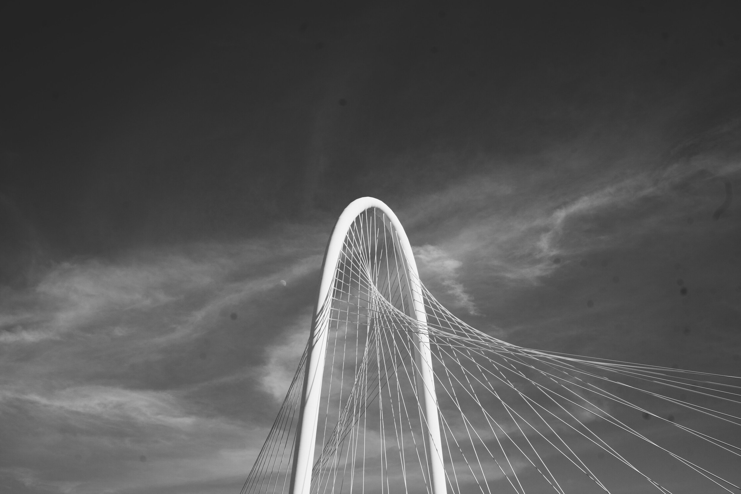_MG_2940.jpg