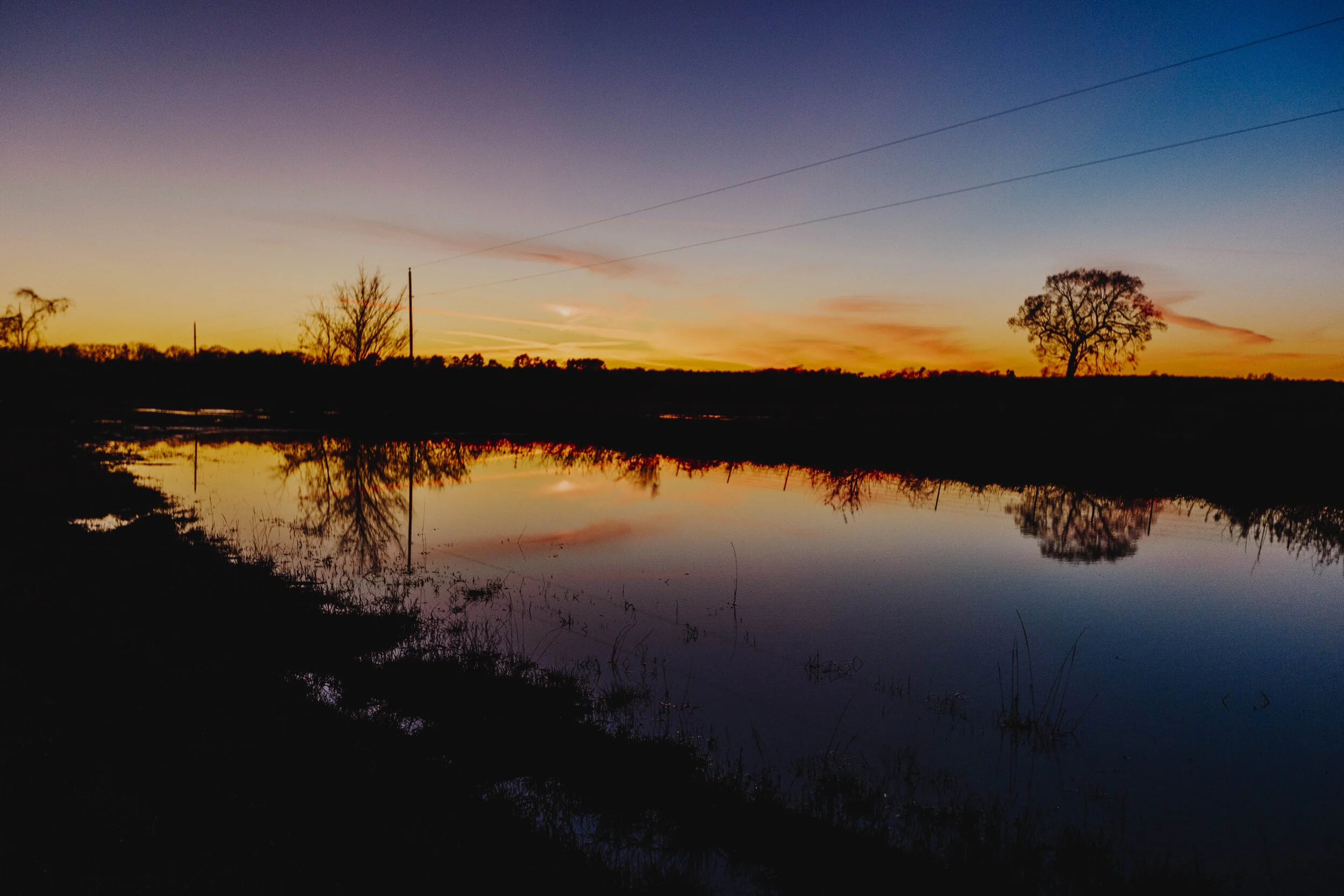 _MG_6756.jpg