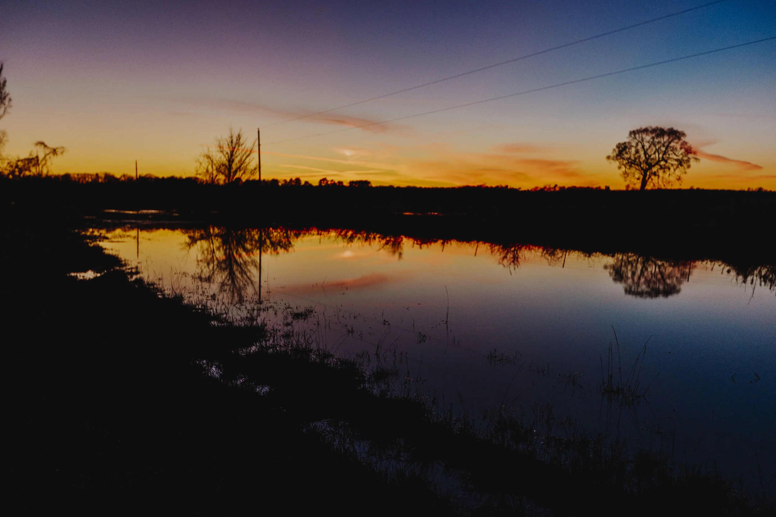 _MG_6755.jpg