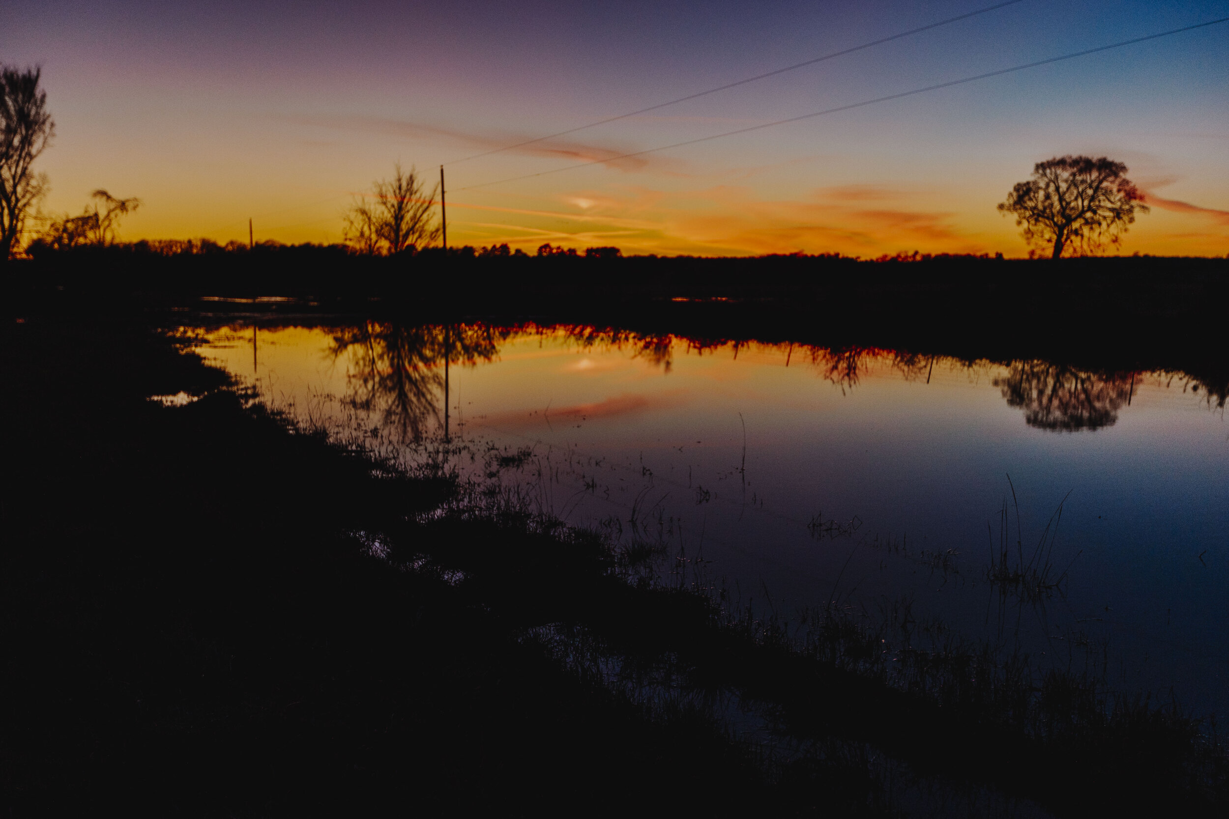 _MG_6754.jpg