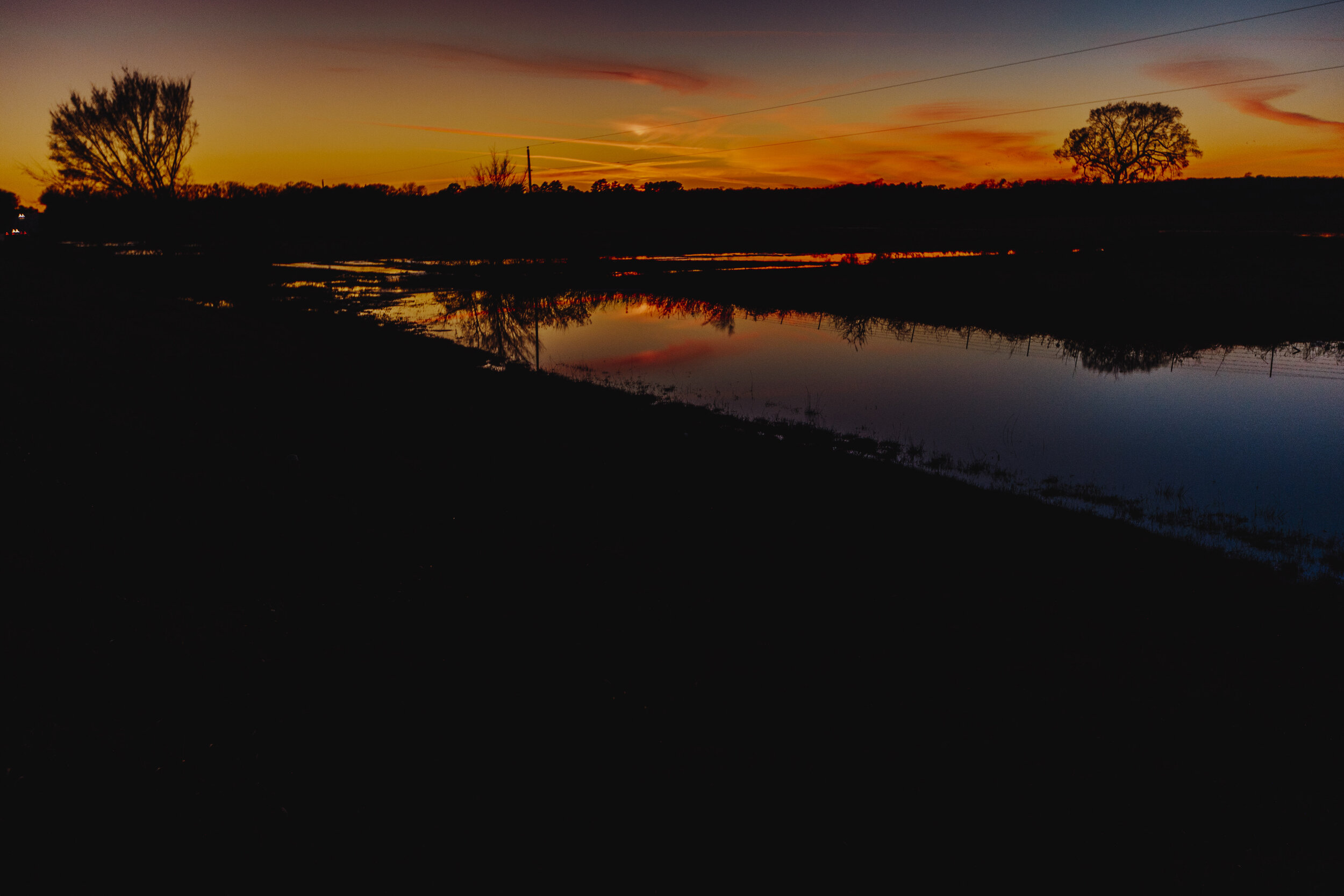 _MG_6753.jpg