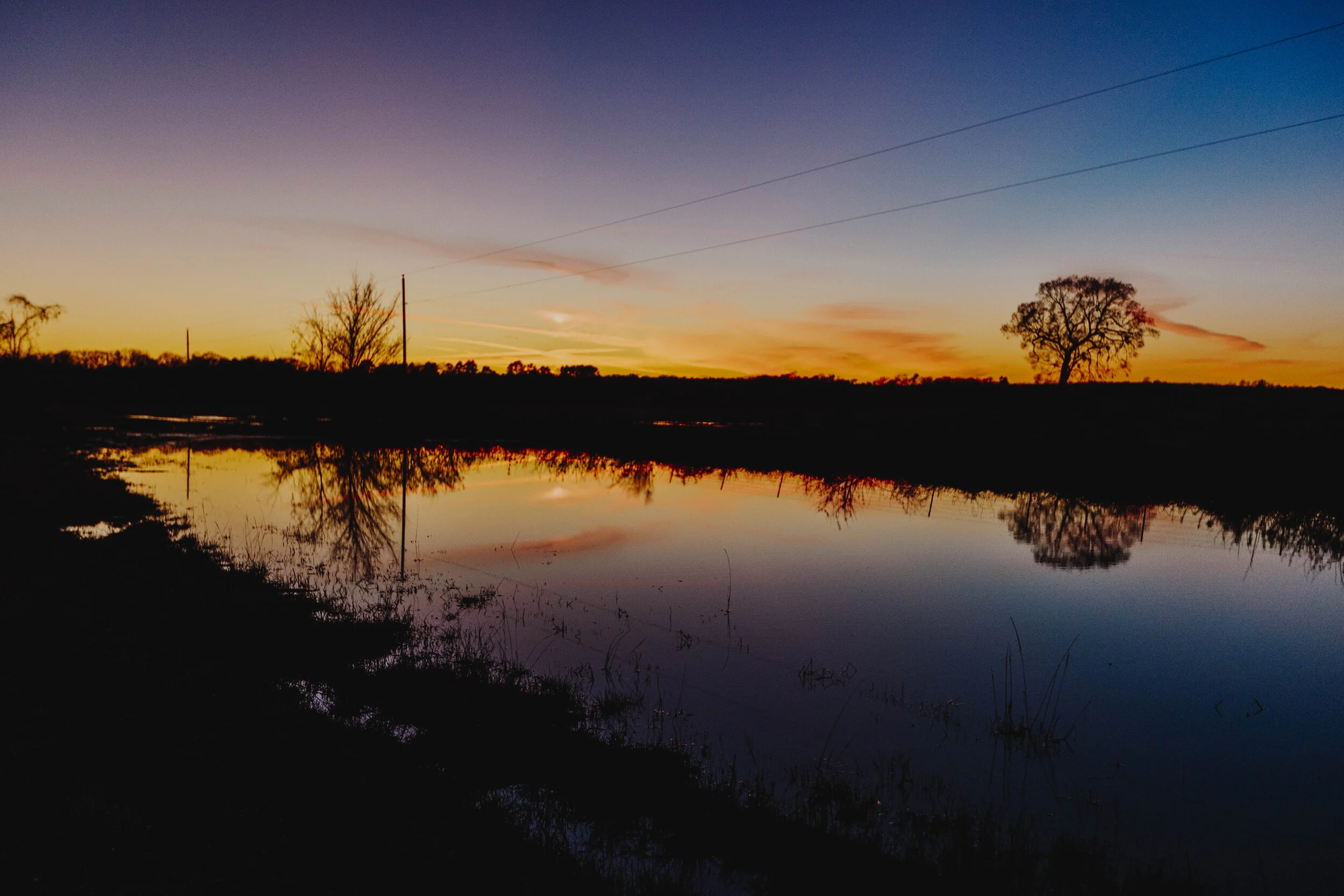 _MG_6757.jpg
