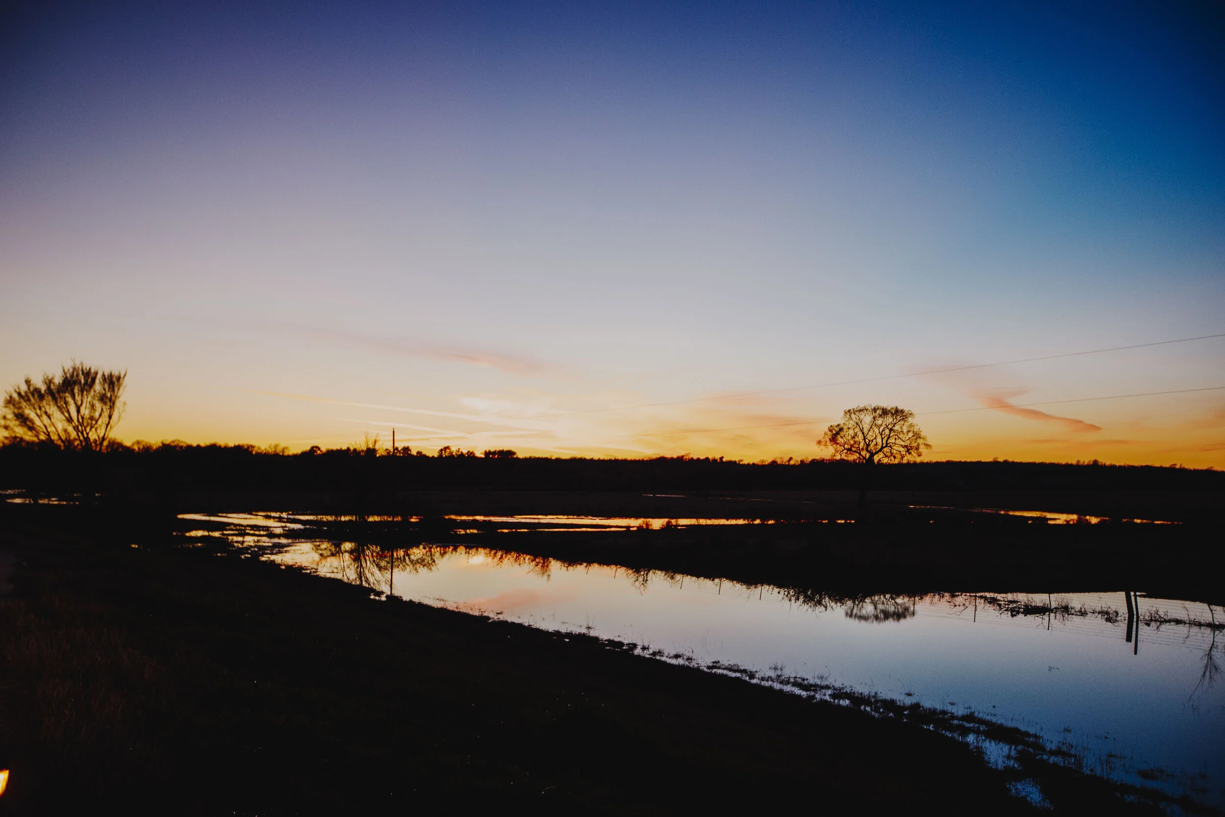 _MG_6751.jpg