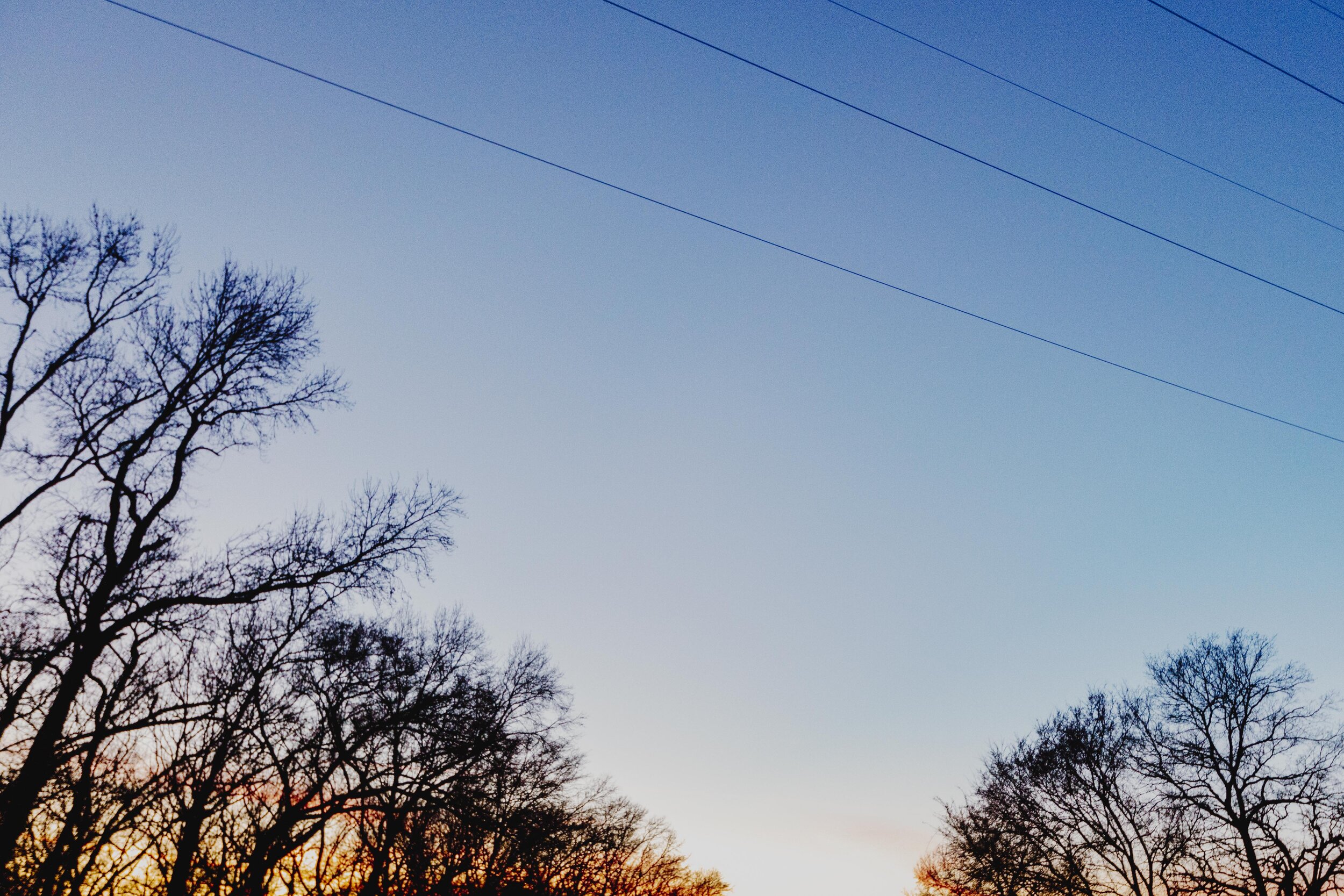 _MG_6743.jpg