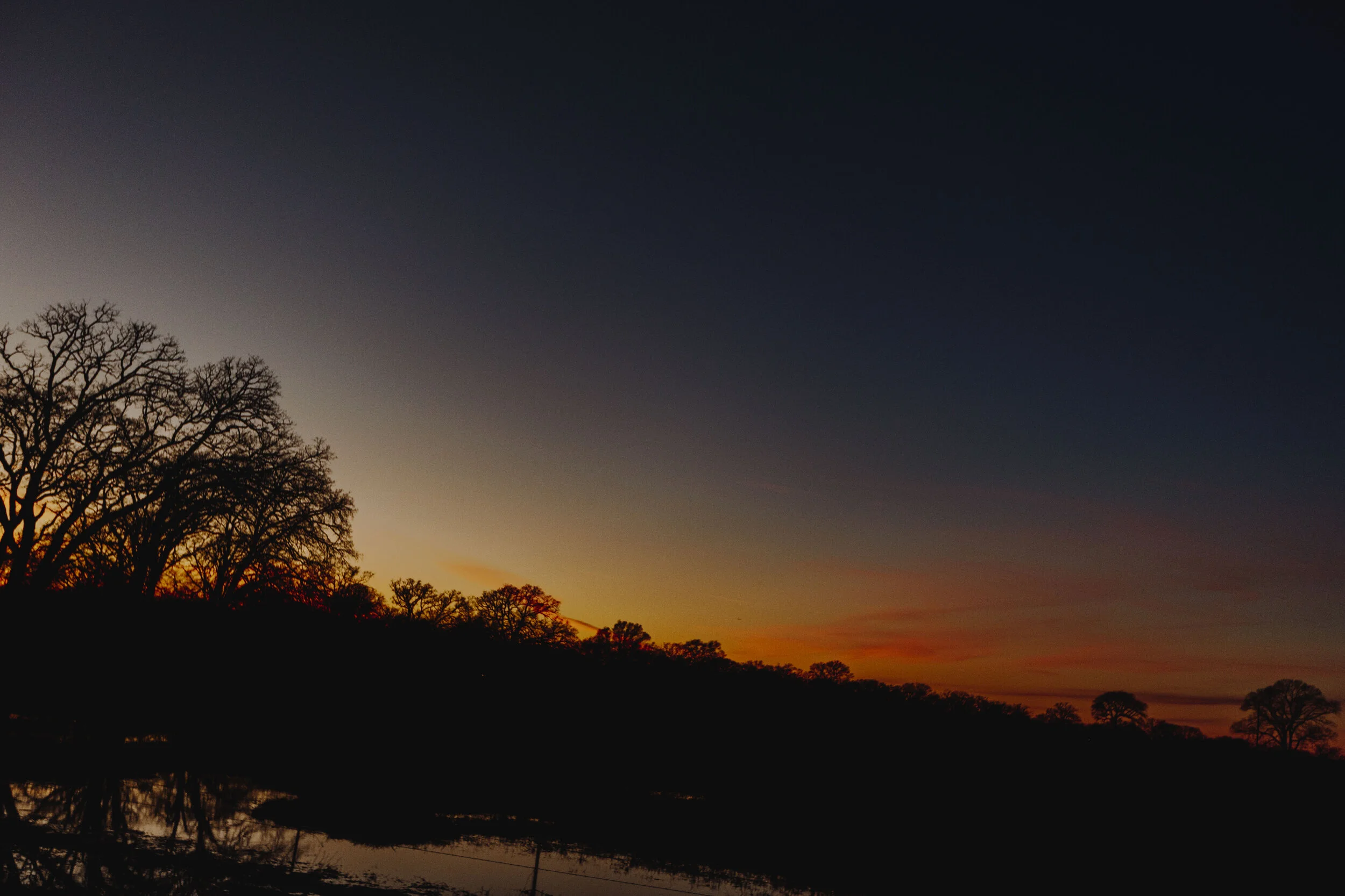 _MG_6726.jpg