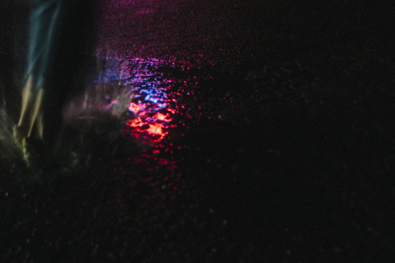_MG_6953.jpg