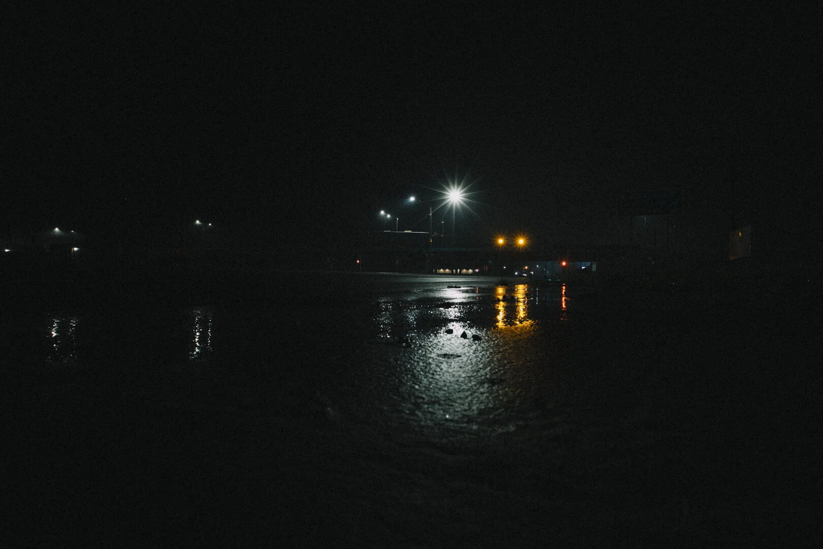 _MG_7229.jpg