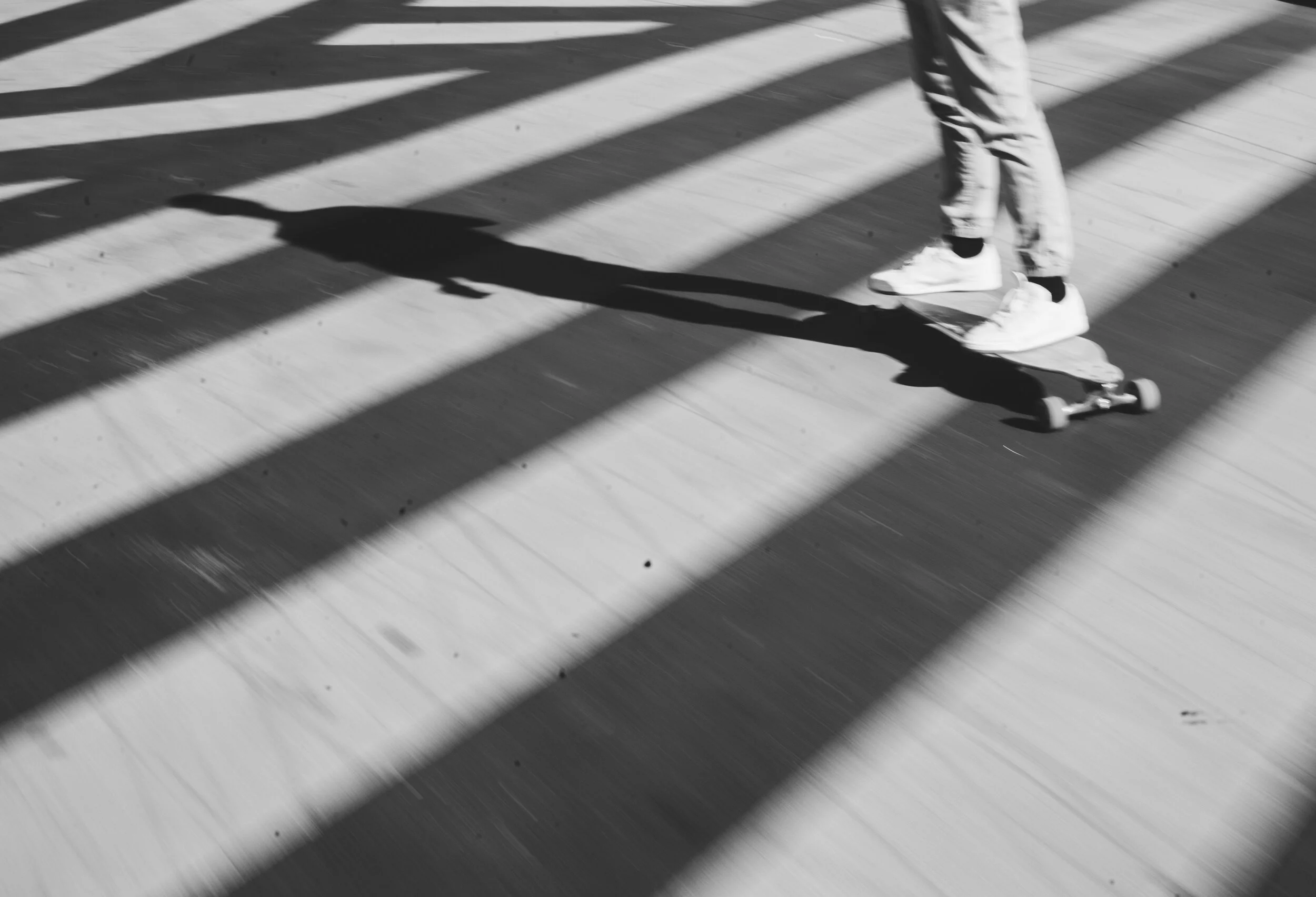 _MG_2946.jpg
